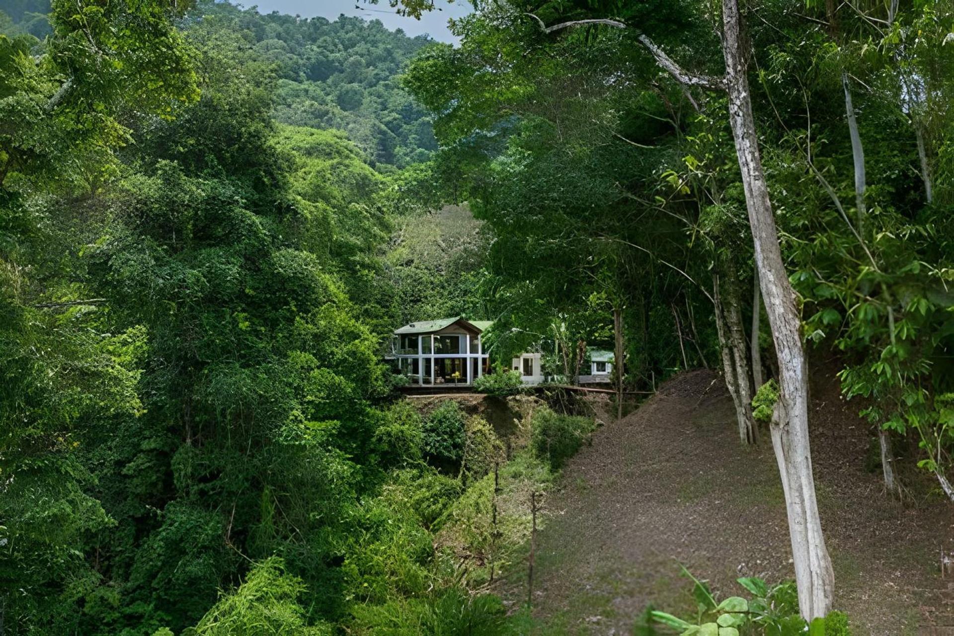 The Jungle Inn Dominicalito Buitenkant foto